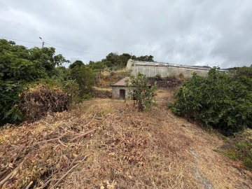 Moradia T1 para Venda em Gaula