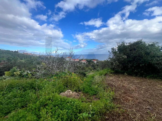 Moradia T1 para Venda em Gaula Foto 12