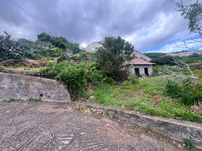 Moradia T1 para Venda em Gaula Foto 4