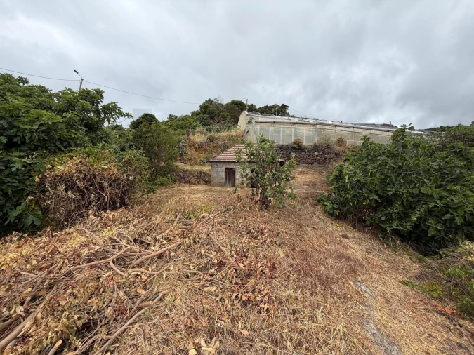 Moradia T1 para Venda em Gaula Foto 17