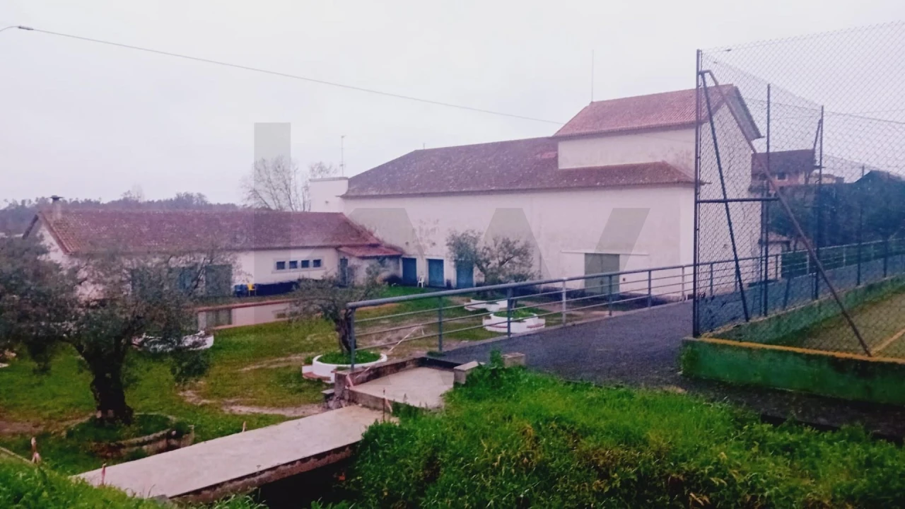 Terreno para Venda em Soure Foto 19