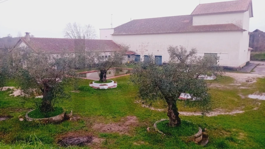 Terreno para Venda em Soure Foto 18