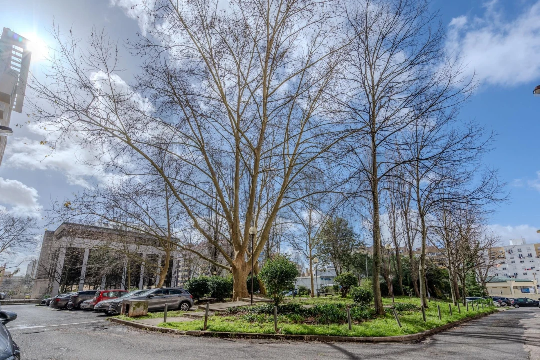 Apartamento T3 para Venda em Lumiar Foto 54