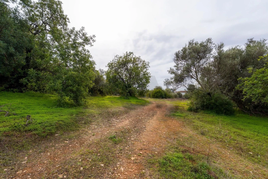 Terreno para Venda em Moncarapacho e Fuseta Foto 15