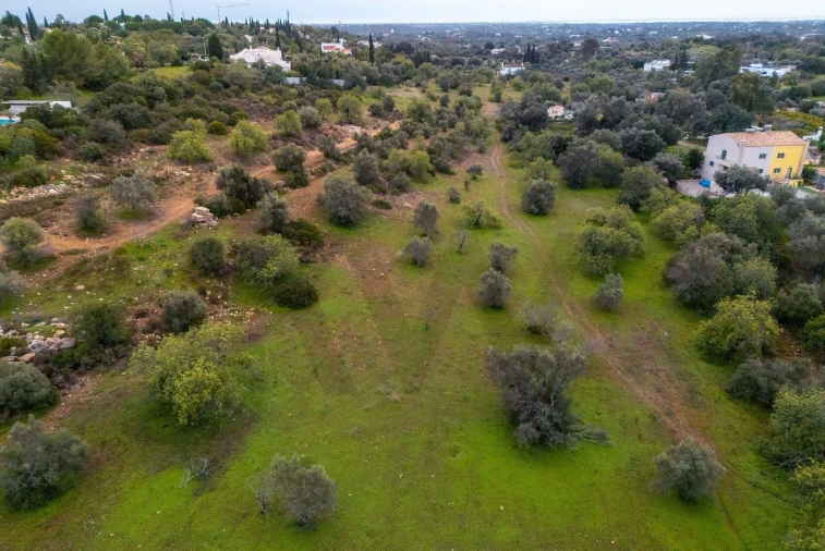 Terreno para Venda em Moncarapacho e Fuseta Foto 8