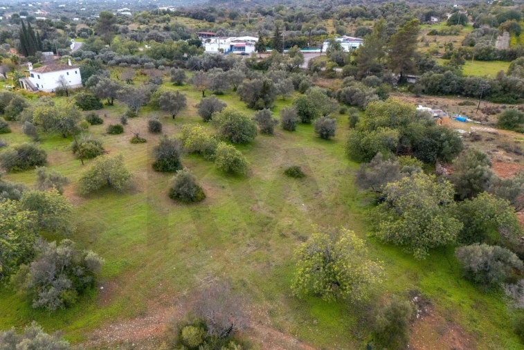 Terreno para Venda em Moncarapacho e Fuseta Foto 19