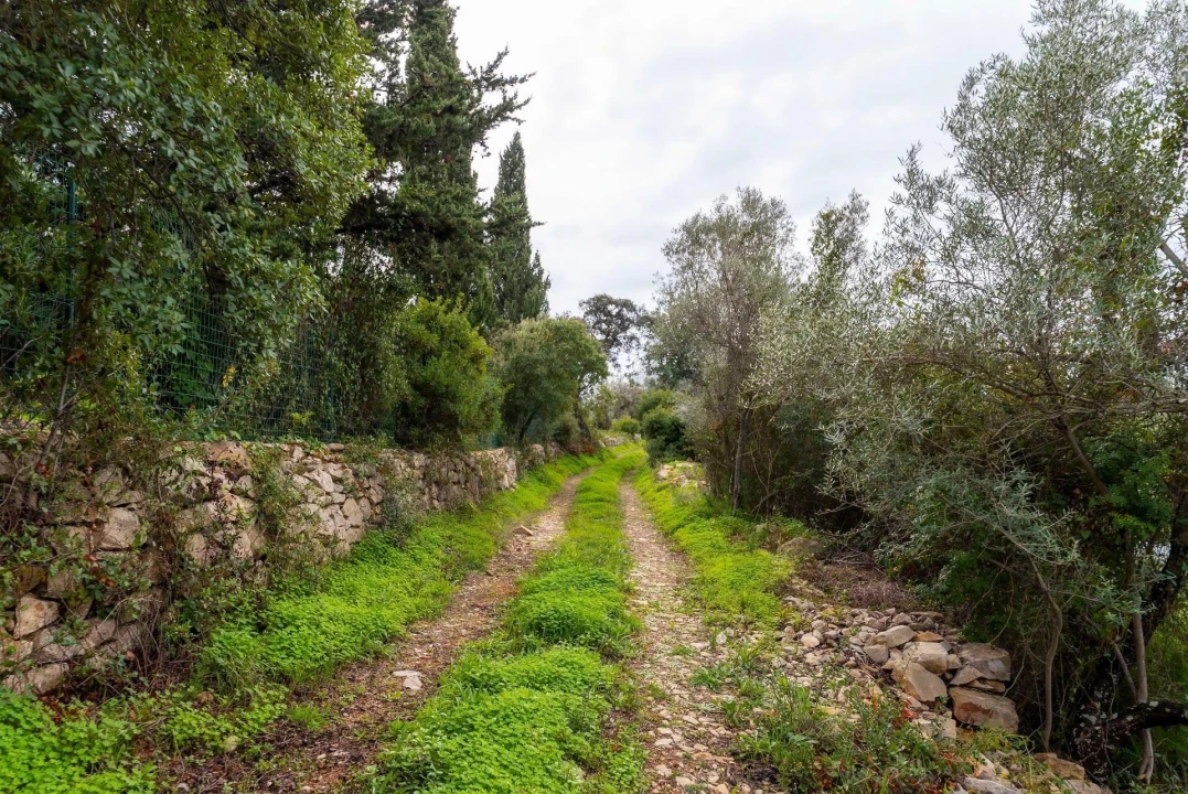 Terreno para Venda em Moncarapacho e Fuseta Foto 11