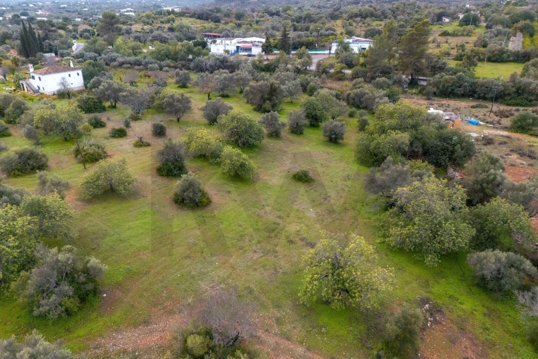 Terreno para Venda em Moncarapacho e Fuseta Foto 19