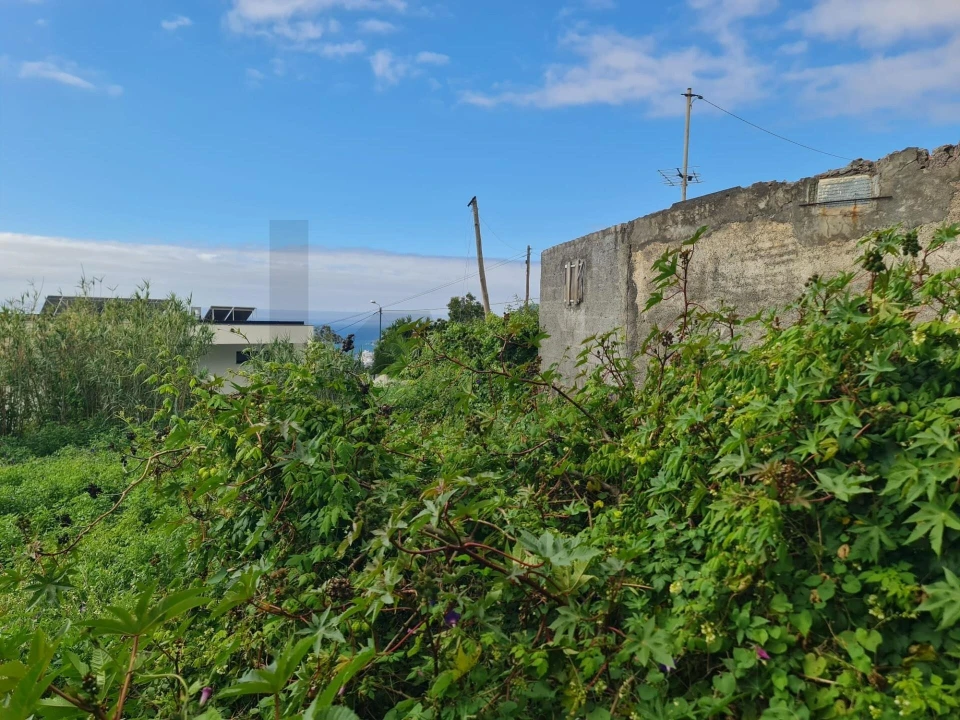 Terreno para Venda em Funchal (Santa Maria Maior) Foto 5