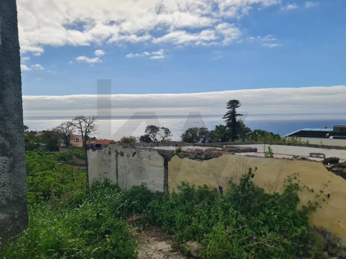 Terreno para Venda em Funchal (Santa Maria Maior) Foto 8