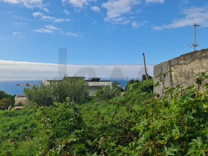 Terreno para Venda em Funchal (Santa Maria Maior) Foto 3