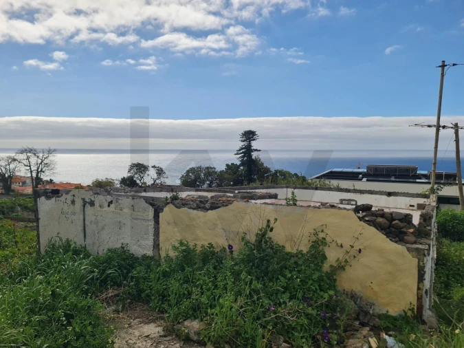 Terreno para Venda em Funchal (Santa Maria Maior) Foto 10
