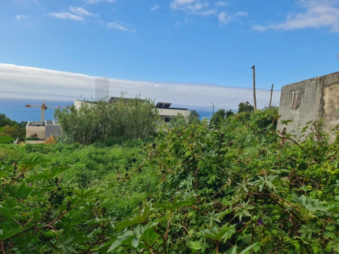 Terreno para Venda em Funchal (Santa Maria Maior) Foto 6