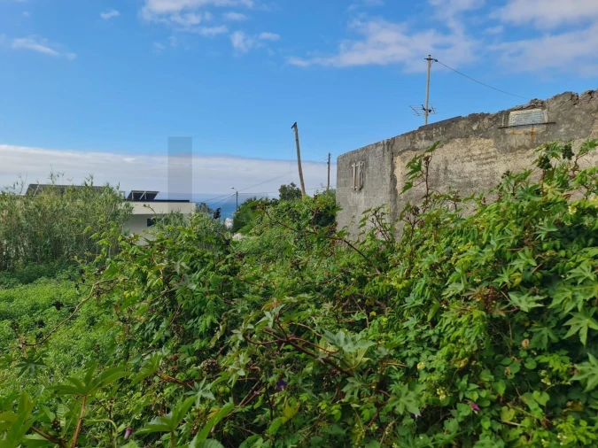 Terreno para Venda em Funchal (Santa Maria Maior) Foto 5