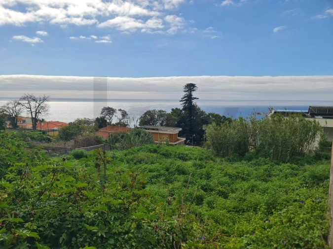 Terreno para Venda em Funchal (Santa Maria Maior) Foto 2