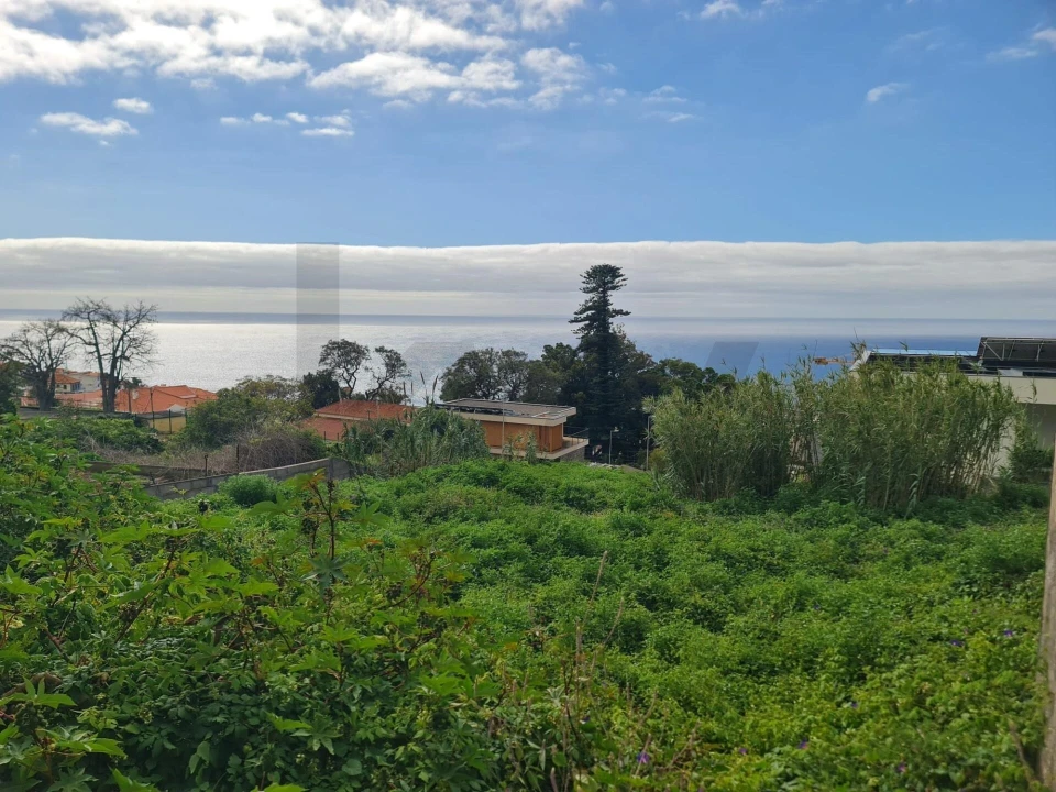 Terreno para Venda em Funchal (Santa Maria Maior) Foto 2