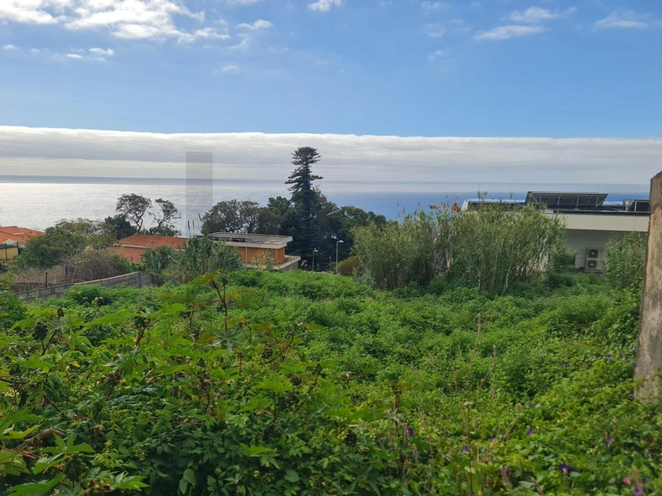 Terreno para Venda em Funchal (Santa Maria Maior) Foto 7