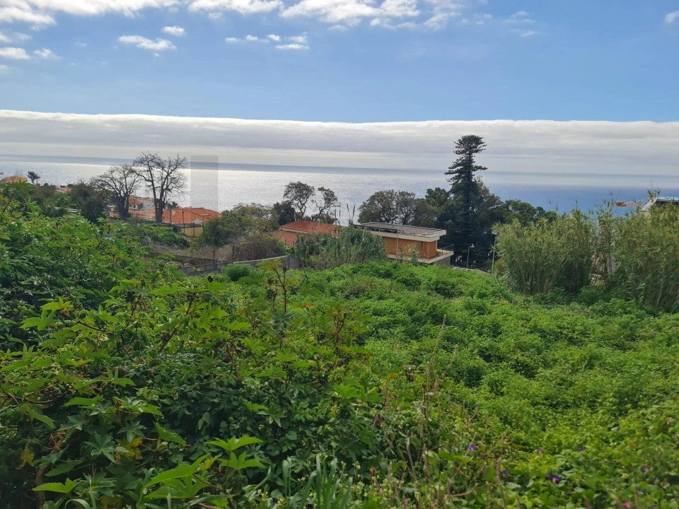 Terreno para Venda em Funchal (Santa Maria Maior) Foto 1