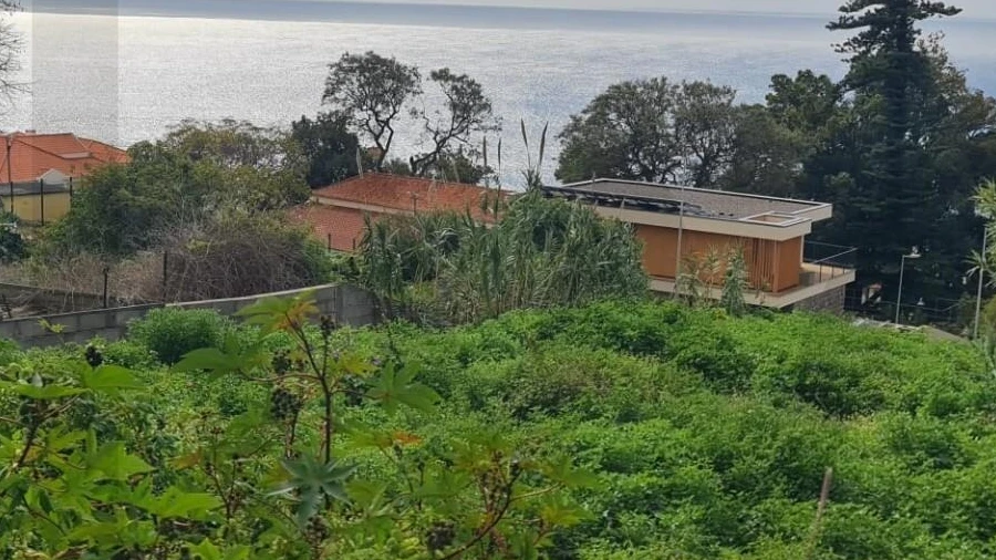 Terreno para Venda em Funchal (Santa Maria Maior)