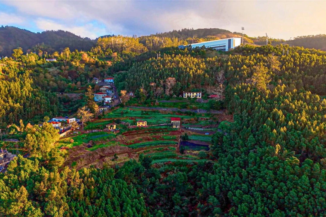 Terreno para Venda em Funchal (Santa Maria Maior) Foto 5