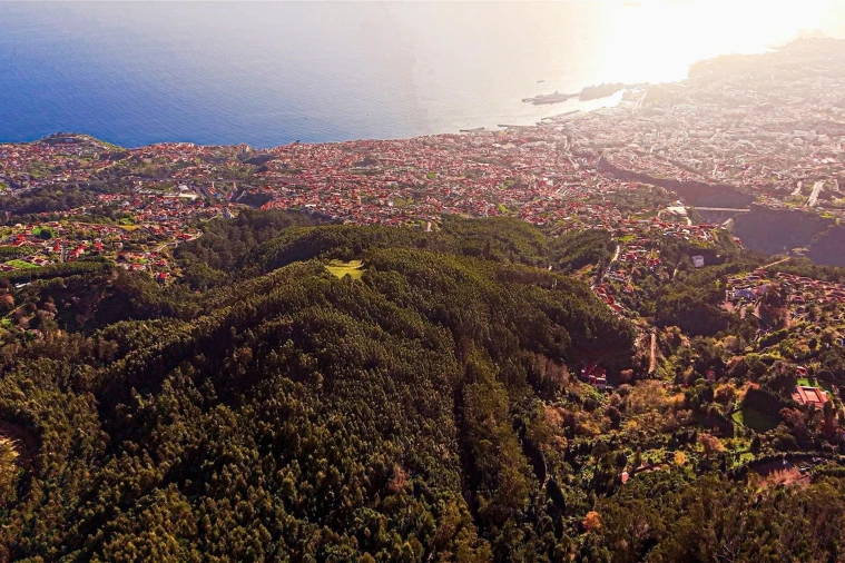 Terreno para Venda em Funchal (Santa Maria Maior) Foto 15