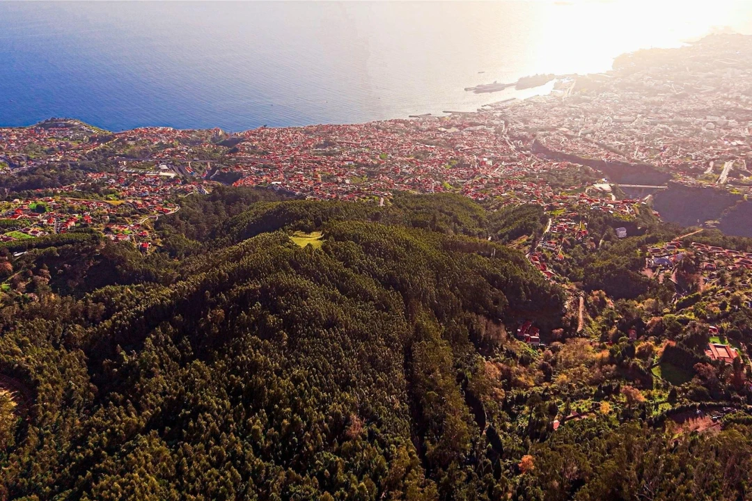 Terreno para Venda em Funchal (Santa Maria Maior) Foto 15