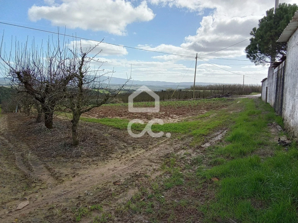 Terreno para Venda em Carvalhal Foto 7