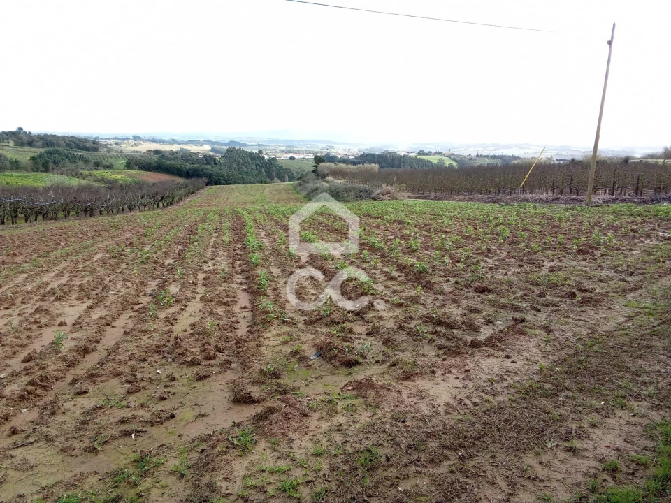Terreno para Venda em Carvalhal Foto 5