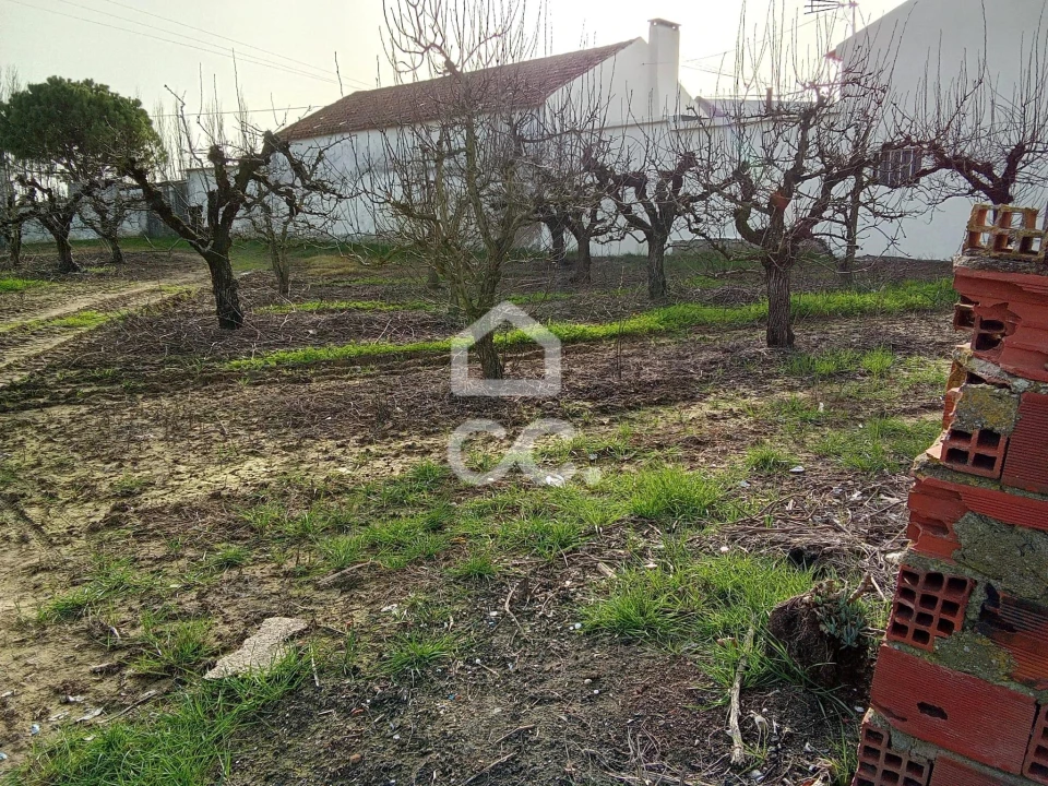 Terreno para Venda em Carvalhal Foto 8