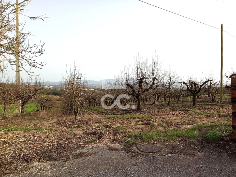 Terreno para Venda em Carvalhal Foto 7
