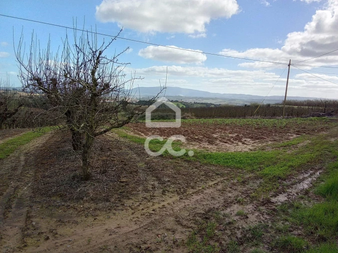 Terreno para Venda em Carvalhal Foto 6