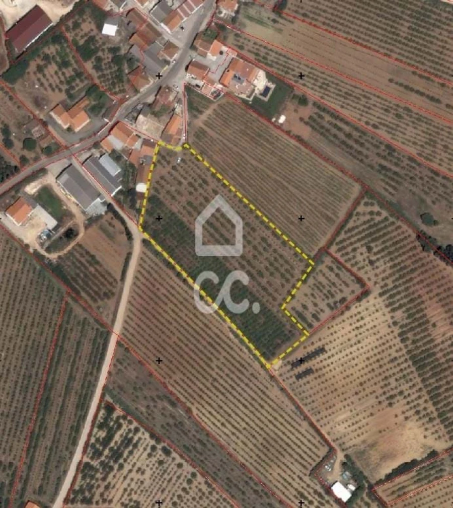 Terreno para Venda em Carvalhal Foto 11