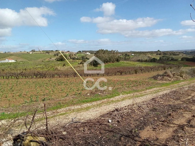 Terreno para Venda em Carvalhal Foto 8