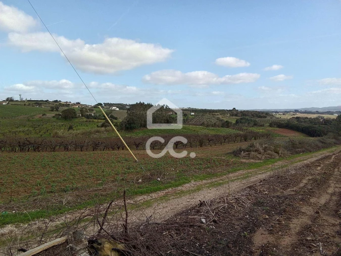 Terreno para Venda em Carvalhal Foto 2