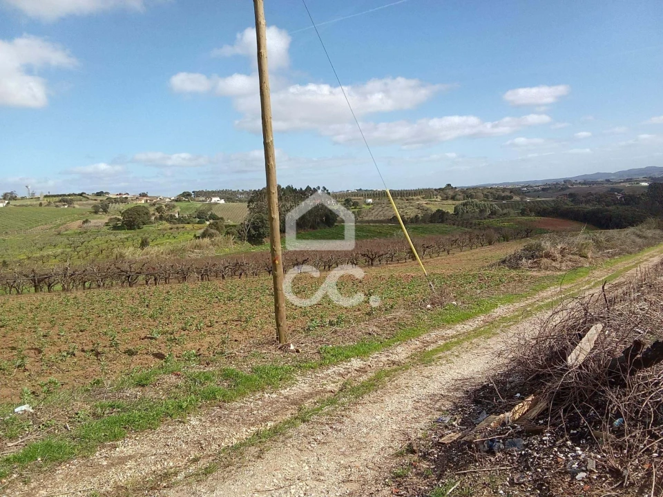 Terreno para Venda em Carvalhal Foto 9