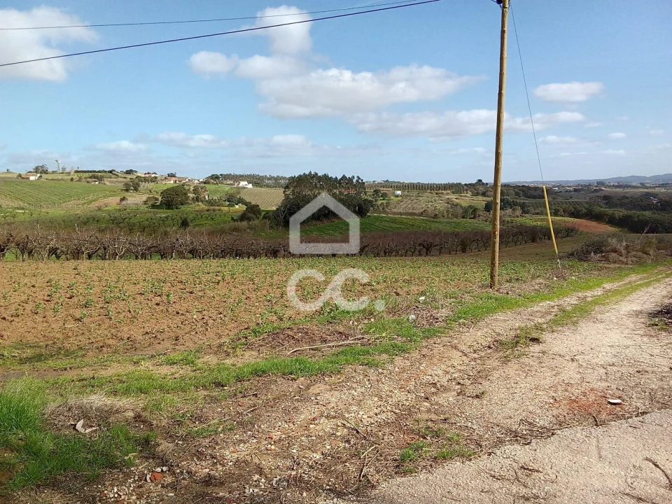 Terreno para Venda em Carvalhal Foto 4