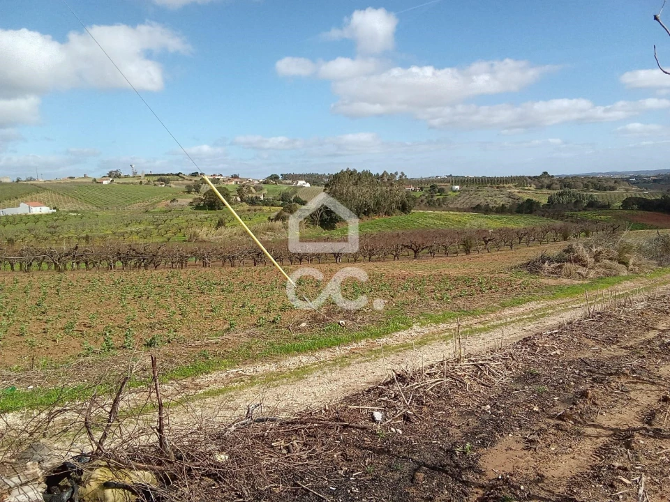 Terreno para Venda em Carvalhal Foto 8