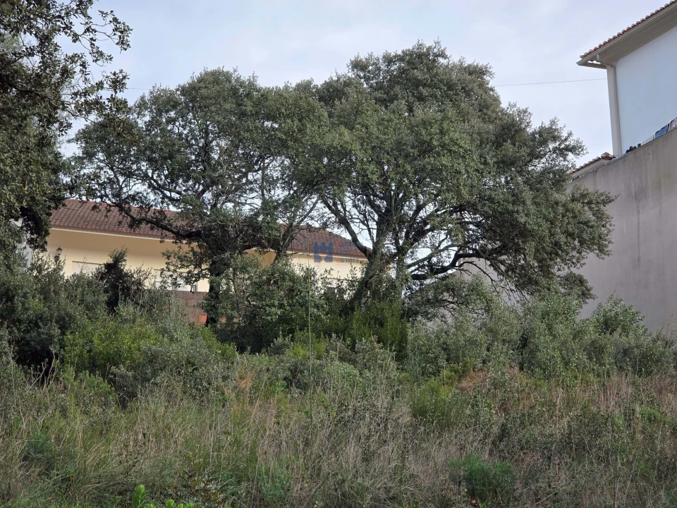 Terreno para Venda em Minde Foto 18