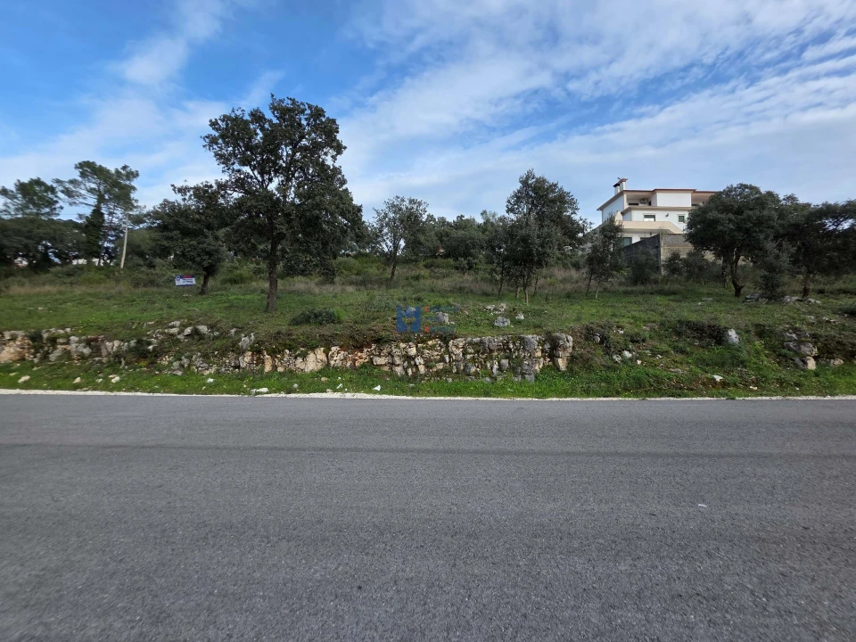 Terreno para Venda em Minde Foto 4