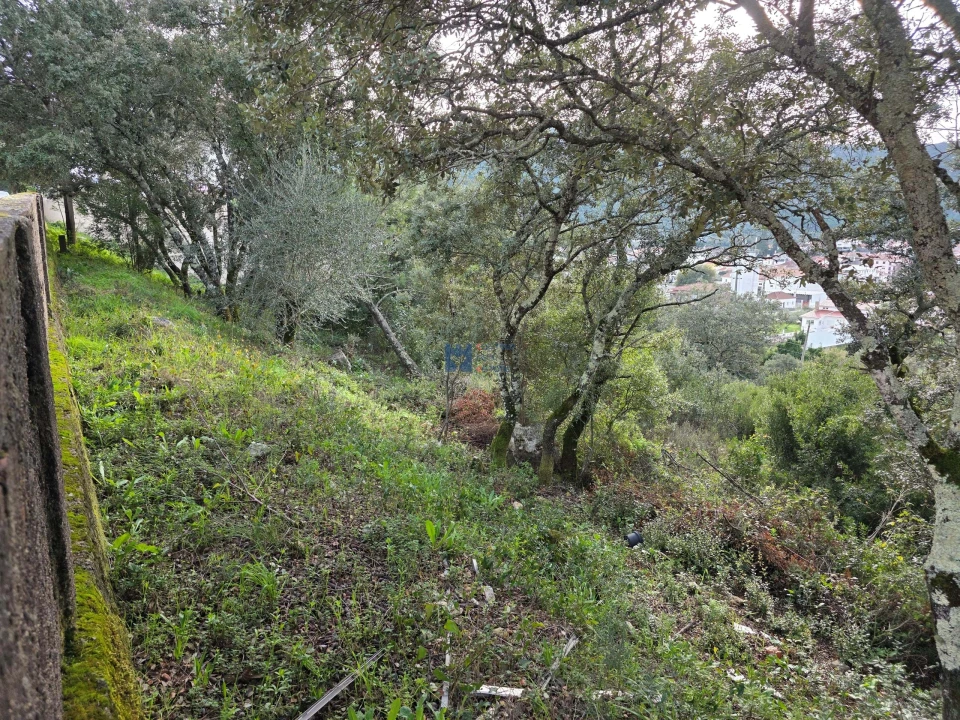 Terreno para Venda em Minde Foto 26