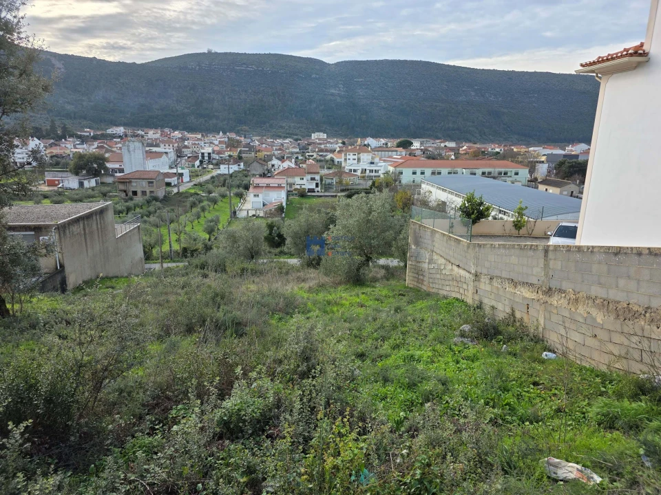 Terreno para Venda em Minde Foto 2