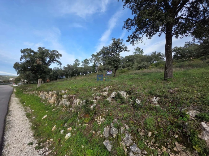 Terreno para Venda em Minde Foto 5