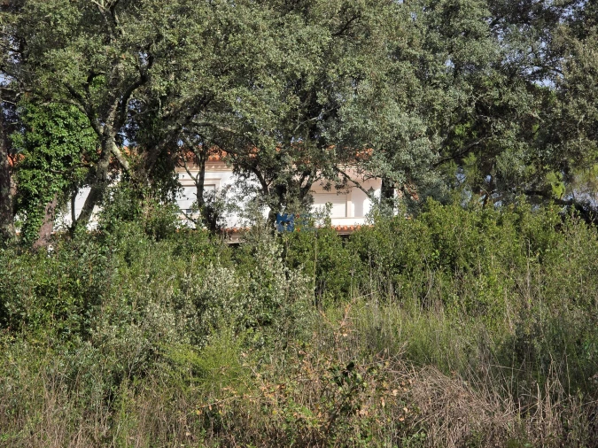 Terreno para Venda em Minde Foto 12