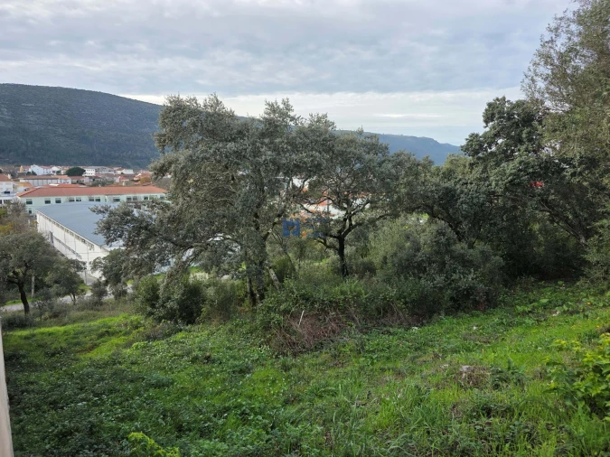 Terreno para Venda em Minde Foto 24