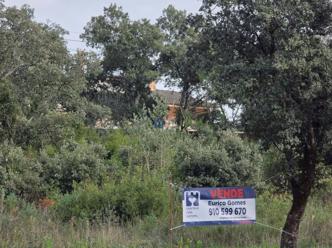 Terreno para Venda em Minde Foto 17