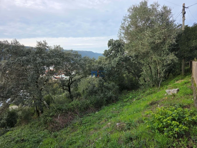Terreno para Venda em Minde Foto 25