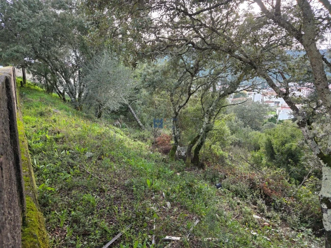 Terreno para Venda em Minde Foto 26