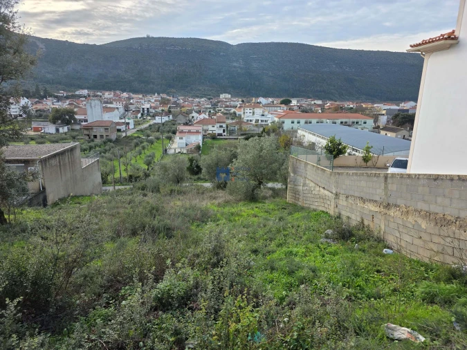 Terreno para Venda em Minde Foto 2