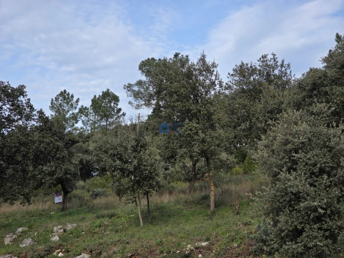 Terreno para Venda em Minde Foto 7