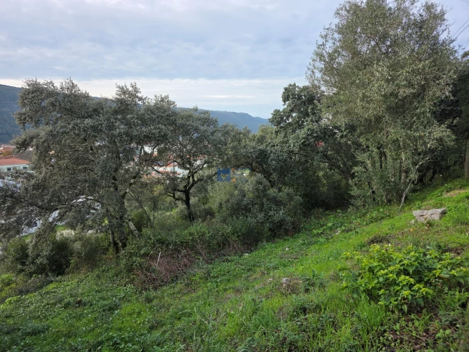 Terreno para Venda em Minde Foto 23